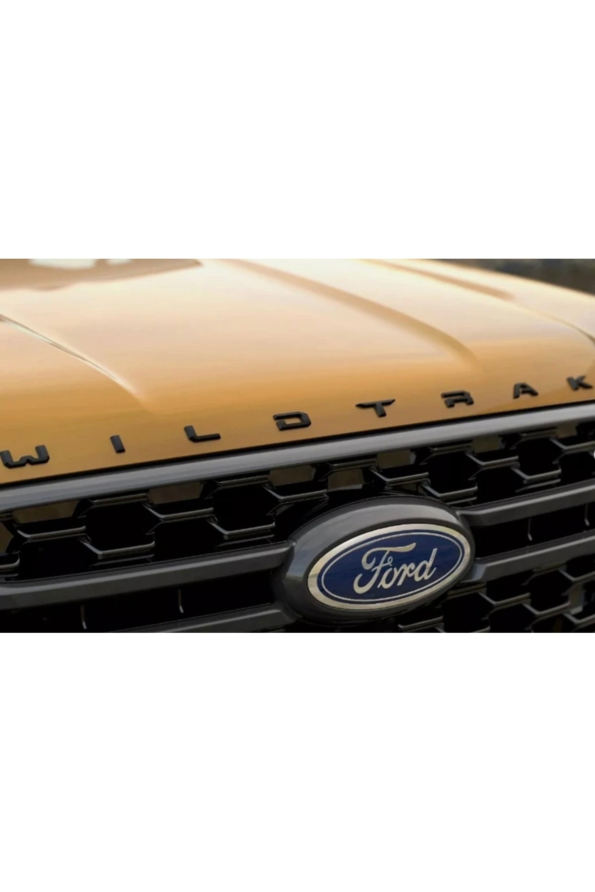 Ford Ranger - ROAL TUNİNG